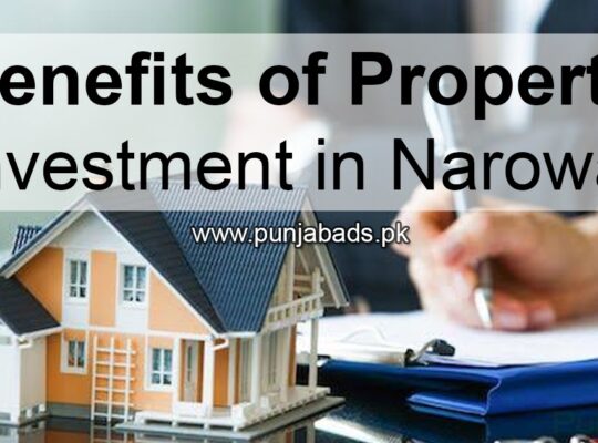 Benefits of Property Investment in Narowal