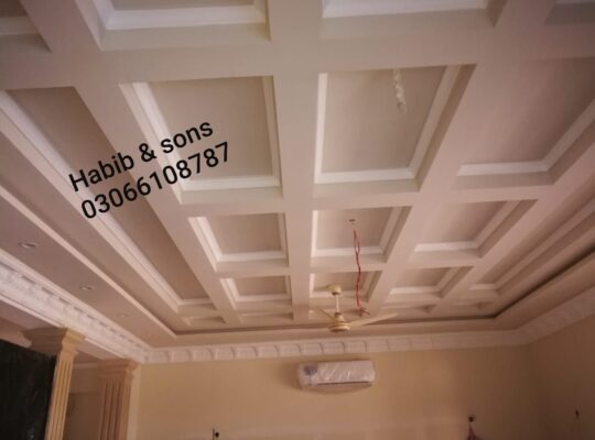 False ceiling contractor