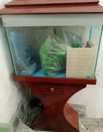 Fish Aquarium for sale in Gujranwala