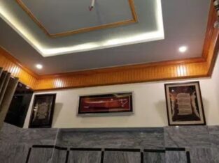 house for sale in narowal