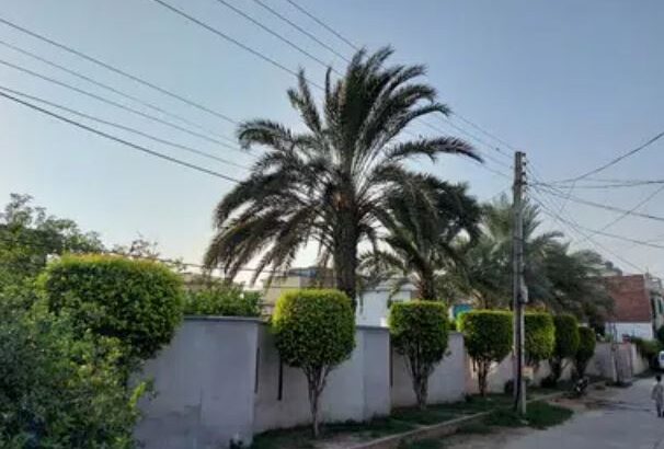 4 KANAL luxury Villa for sale in climax town