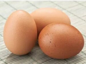 Australorp fertile egg for sale in karachi