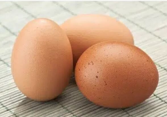 Australorp fertile egg for sale in karachi