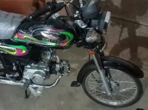 sallu for sale i;n karachi