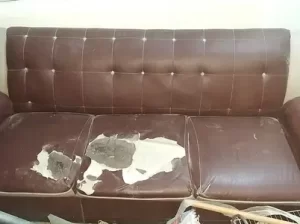 5 seater sofa for sale in Multan