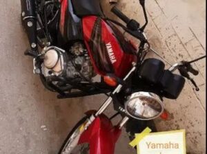 Yamaha ybz 125cc for sale in dera ismail khan