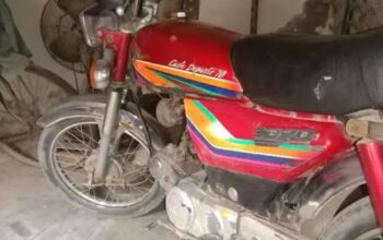 ingen fet hay koi masela nahi hi for sale