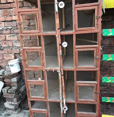 wodden cage for sale in Dharampura, Lahore