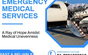 Pick King Air ambulance in Delhi-Medical Tool