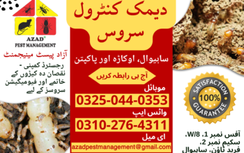 Termite | Deemak | Pest Control Service in Sahiwal