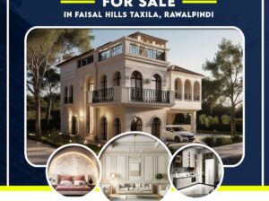 5 Marla Beautiful House for Sale in Faisal Hills