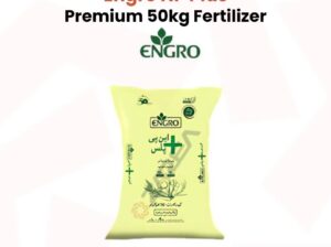 Engro NP Plus 50kg | Available at Zarea Limited